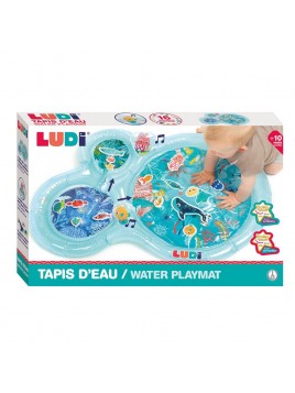 LUDI pripučiamas vandens...